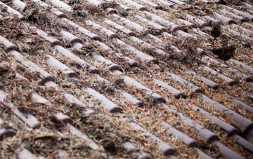 Bridgetown roof cleaning companies